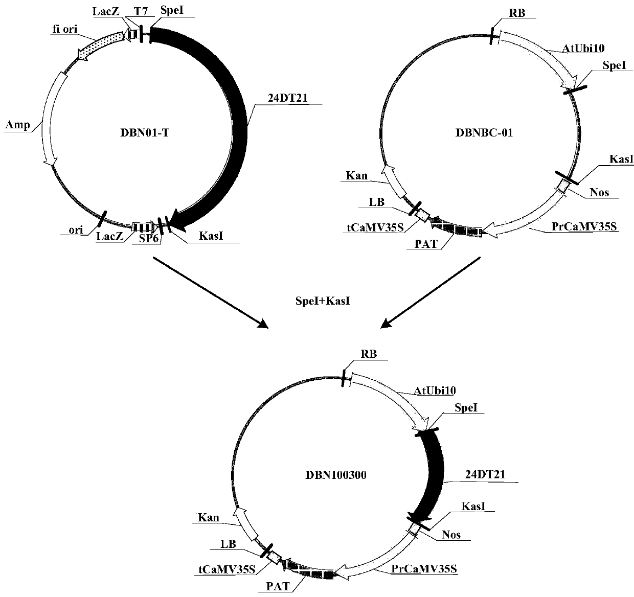 Herbicide resistance protein, its encoding gene and use