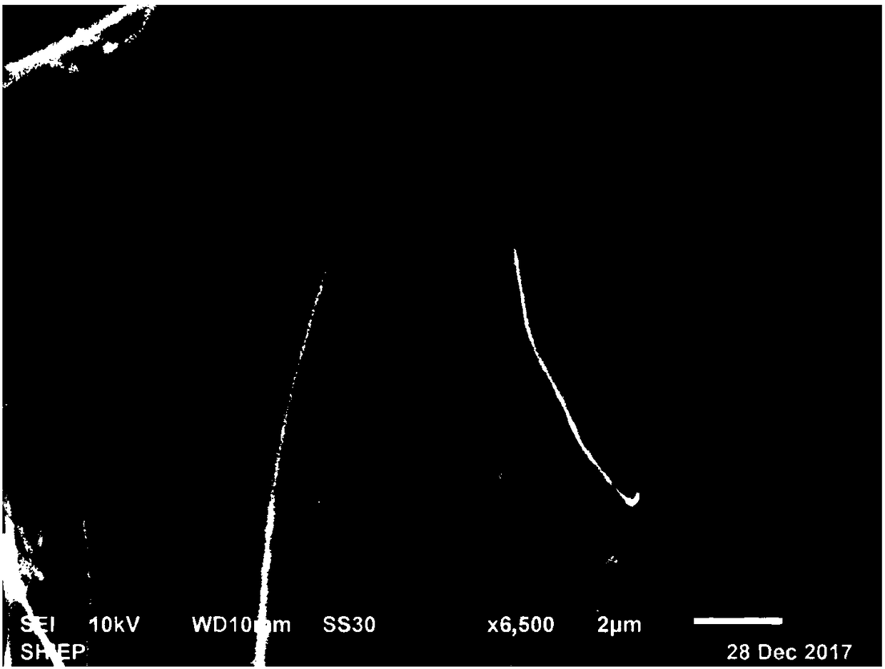 Preparation method of iron, cobalt and nitrogen co-doped carbon nanofiber catalyst