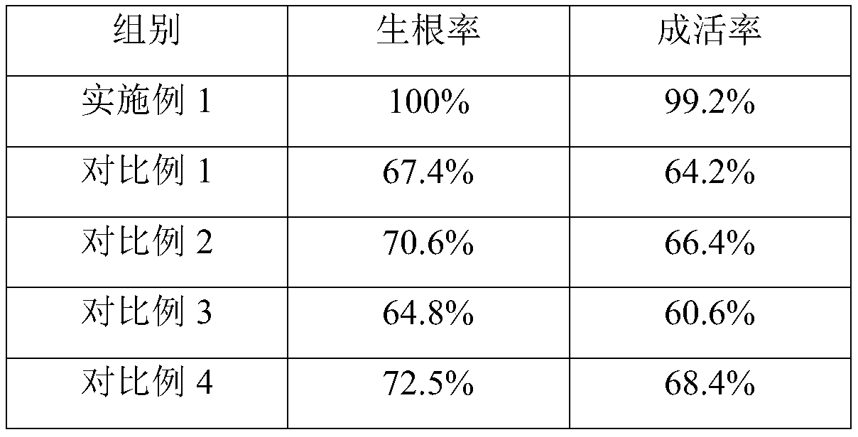 A method for promoting rooting of ginkgo cuttings