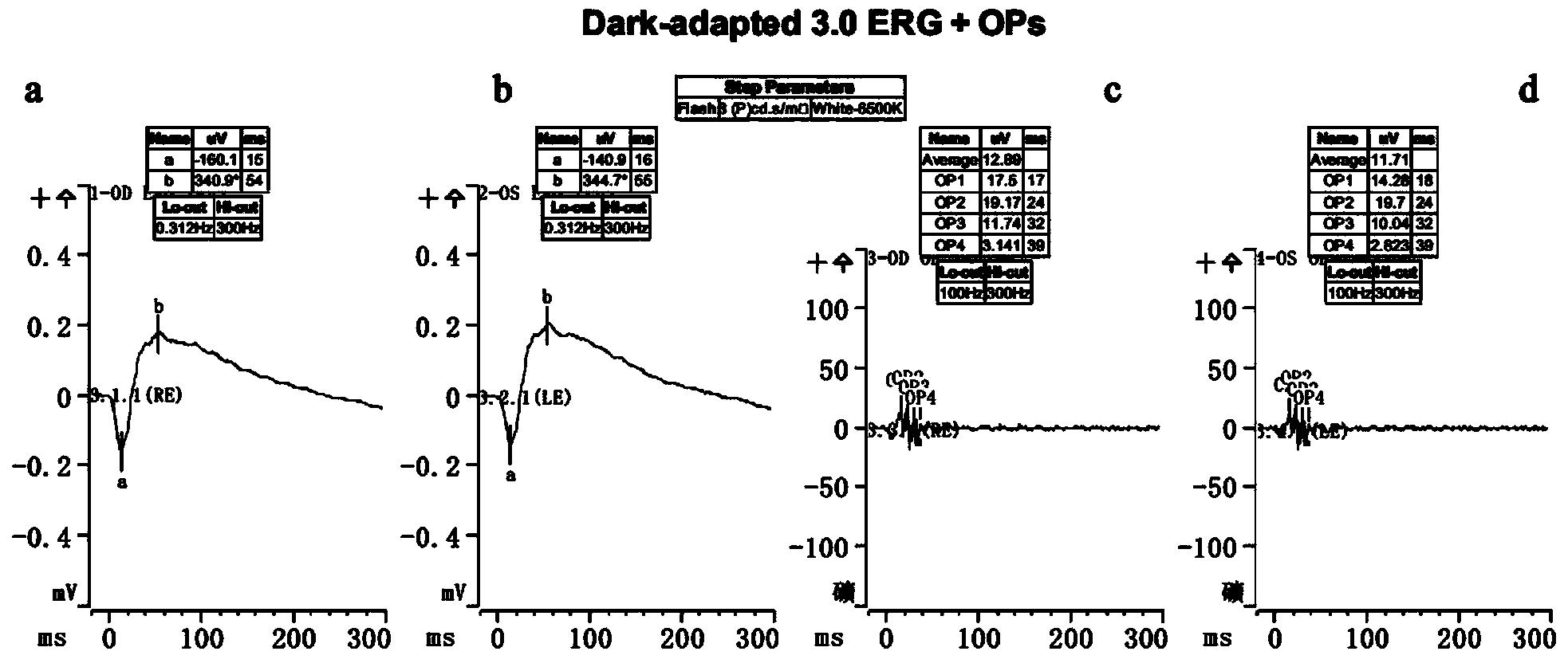 Method for making primate dry age-related macular degeneration disease model