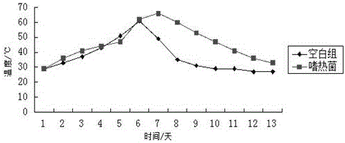 Sludge compost thermophilic microbial agent and application