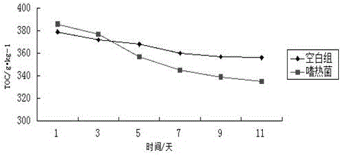 Sludge compost thermophilic microbial agent and application