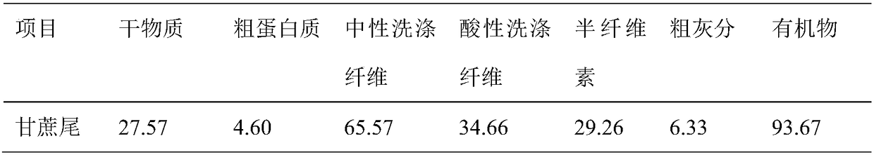 Lactic acid bacteria combination preparation for sugarcane leaf silage and application of lactic acid bacteria combination preparation