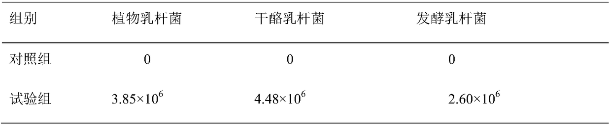 Lactic acid bacteria combination preparation for sugarcane leaf silage and application of lactic acid bacteria combination preparation