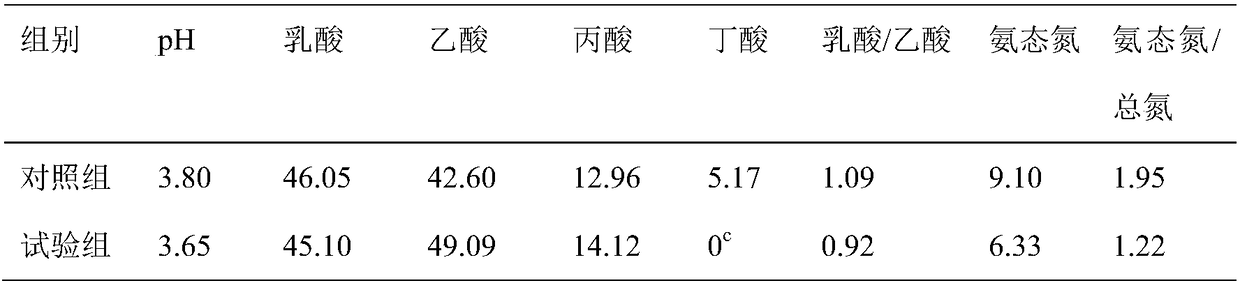 Lactic acid bacteria combination preparation for sugarcane leaf silage and application of lactic acid bacteria combination preparation