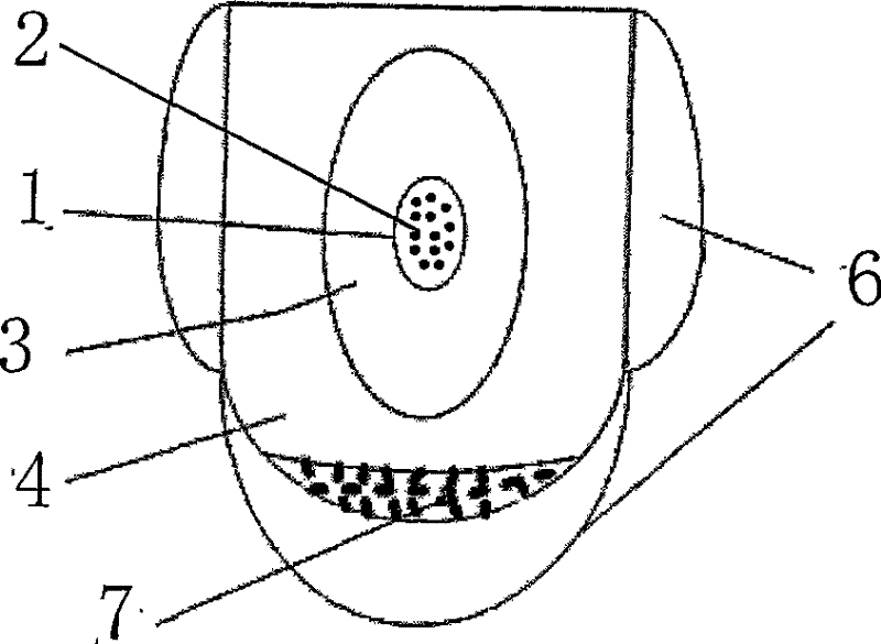 Stuffy nose with capsule