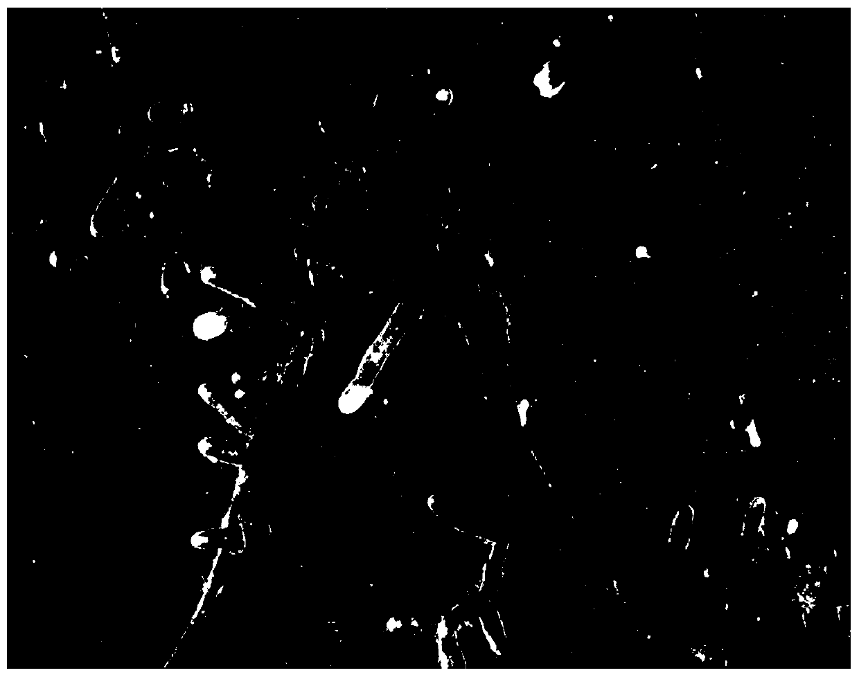 Mycorrhizal seedling cultivation method of panzhihua truffle