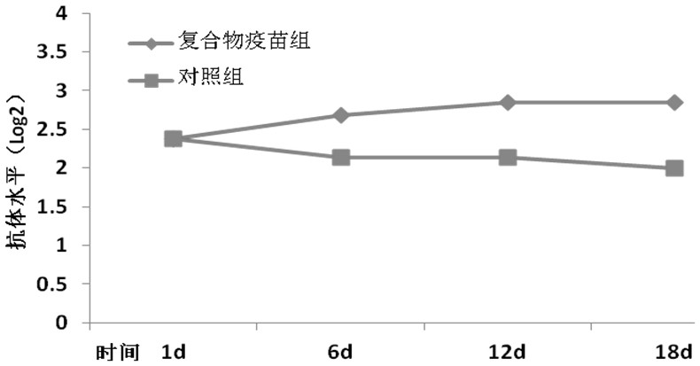 Antigen-antibody compound vaccine for porcine epidemic diarrhea virus and preparation method thereof