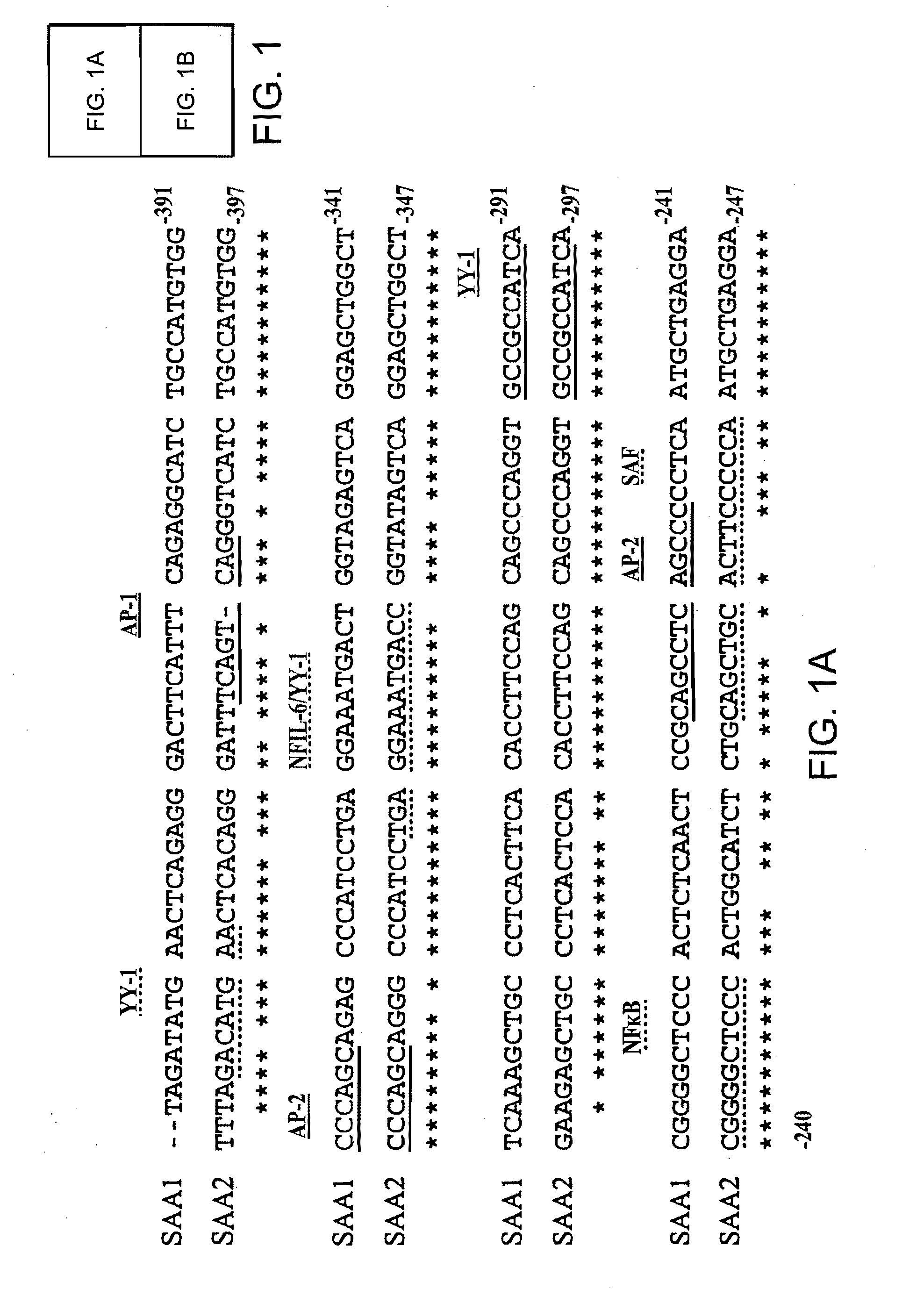 Methods for Determining Drug Responsiveness