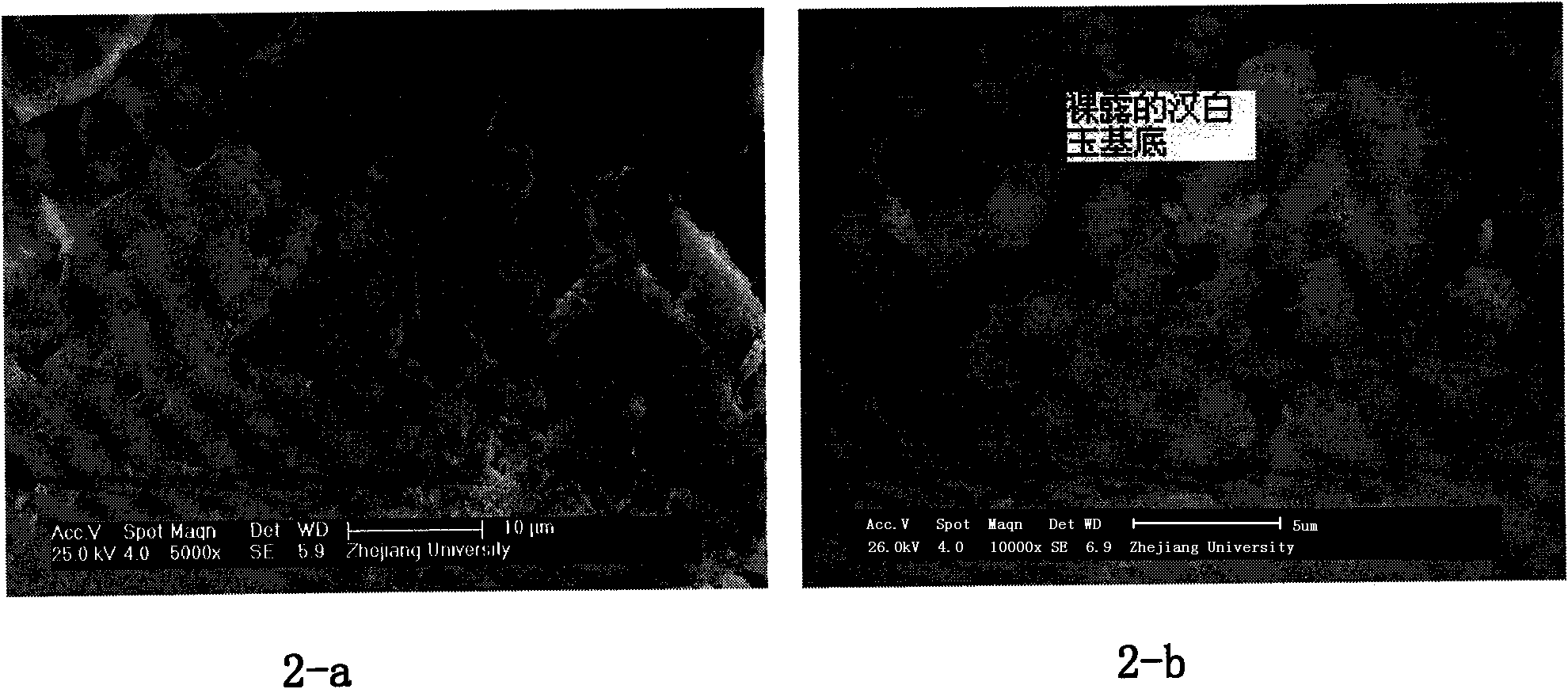 Reinforcing material of permeable hydraulic degraded unconsolidated rock and reinforcing method thereof