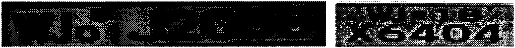 Method for recognizing characters of number plate images of armed police automobiles