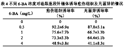 Method for promoting persea americana stem to induce callus tissues and sterile buds