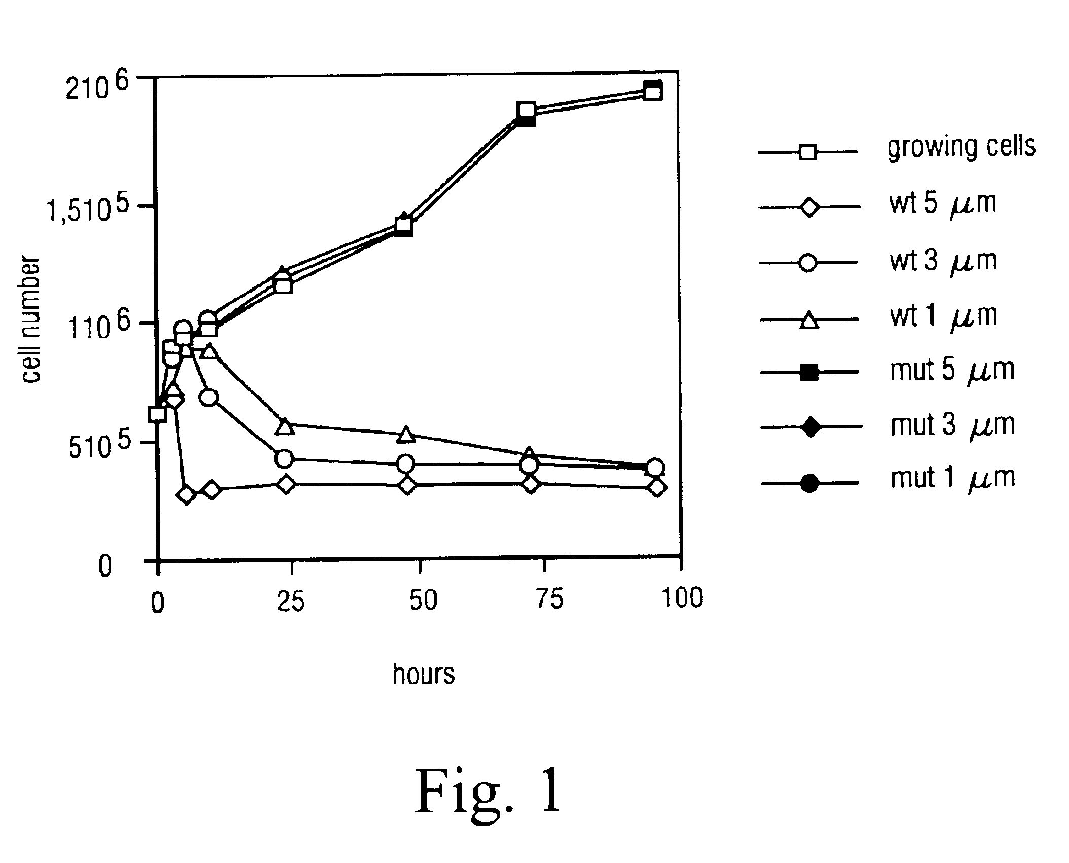 Transcription factor E2F DNA-binding domain inhibitor peptides and their use