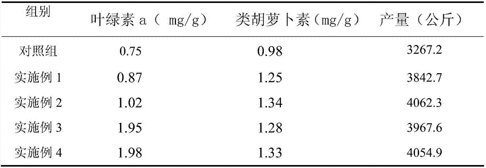 Composite microbial fertilizer for soil improvement and preparation method thereof