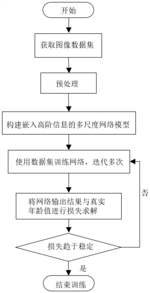 Multi-scale face age estimation method and system embedded with high-order information