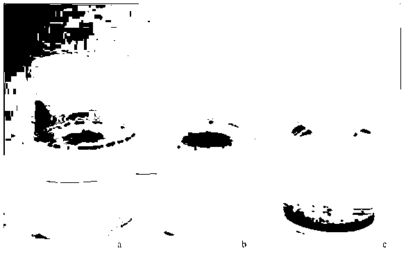 Method for preparing hydrophobic activated carbon by utilizing strong acid type cation exchange resin