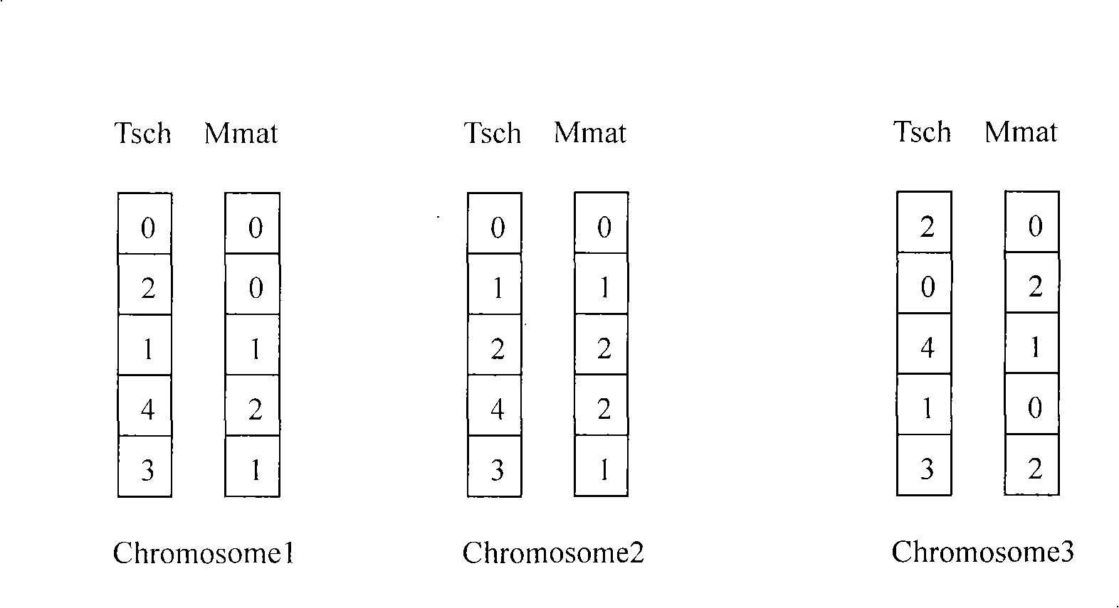 Method for allocating graticule resource based on paralleling genetic algorithm