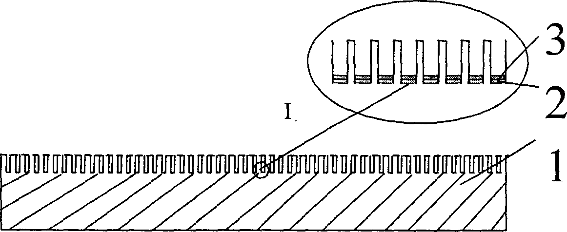 Protein chip and its preparing method and use