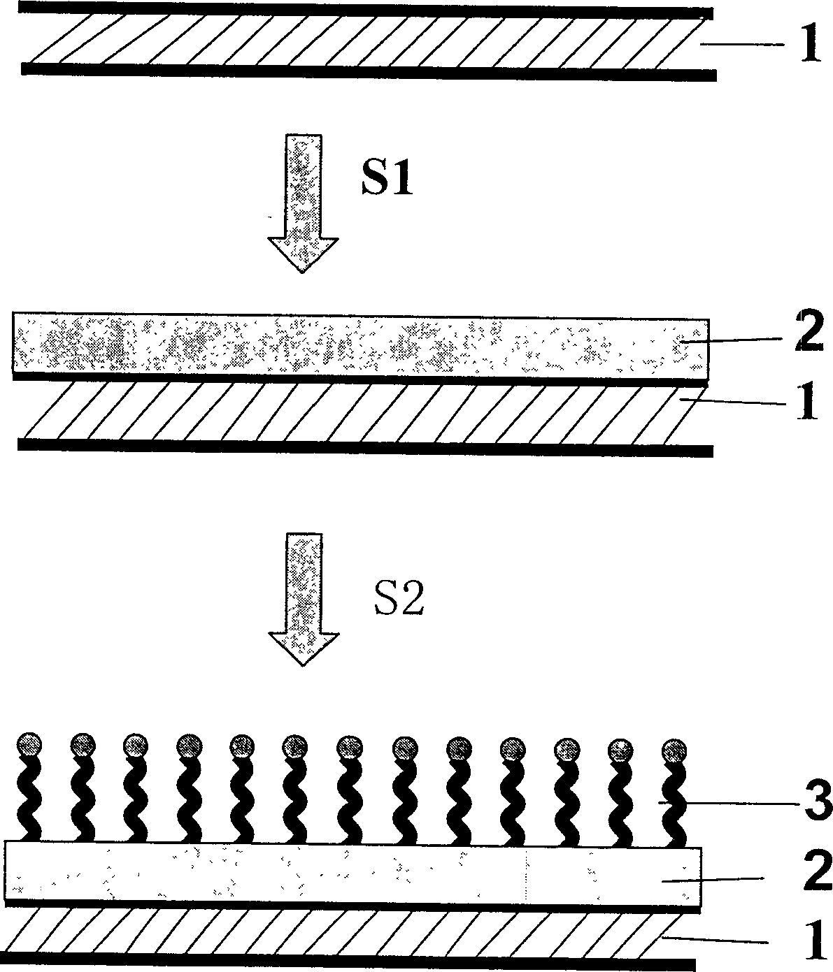 Protein chip and its preparing method and use