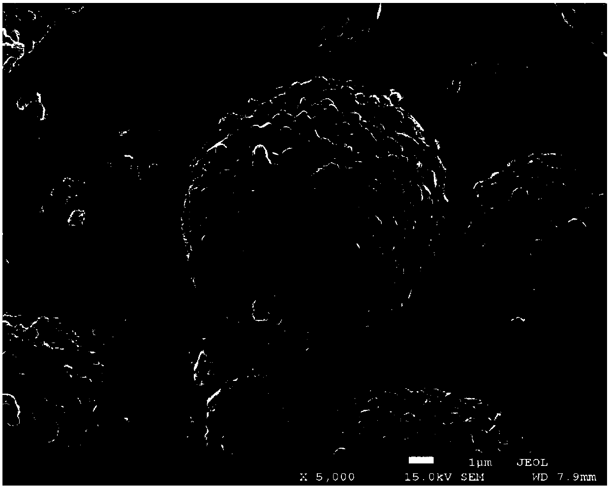 Composite anode active material and preparation method thereof, anode and battery