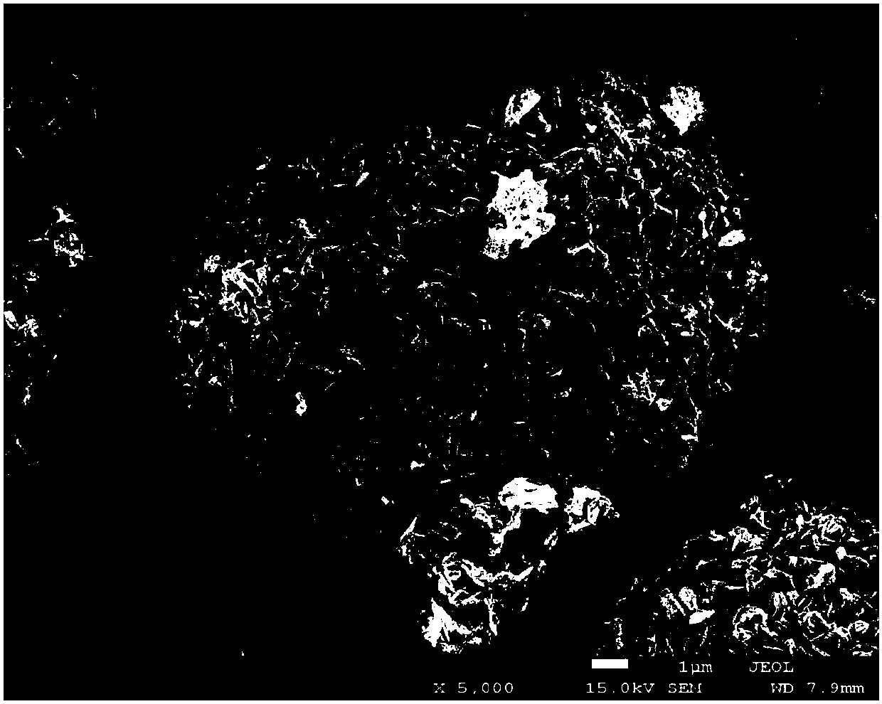 Composite anode active material and preparation method thereof, anode and battery