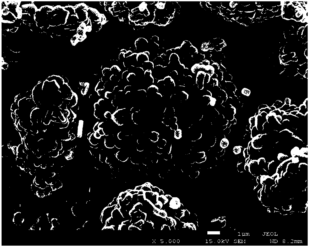 Composite anode active material and preparation method thereof, anode and battery