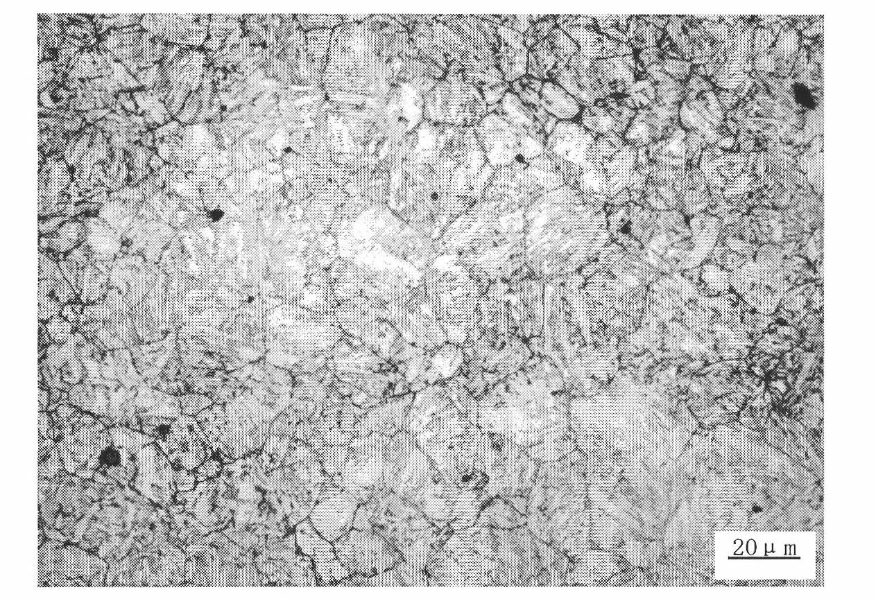 Displaying method for austenite grain boundary of intermediate-carbon alloy rare earth steel