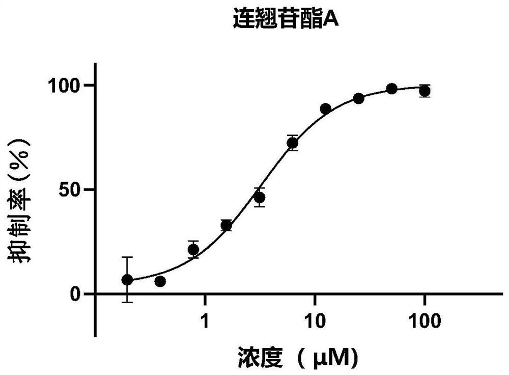 Application of phenylethanoid glycoside compound and composition thereof in preparation of medicine for preventing and treating new coronal pneumonia