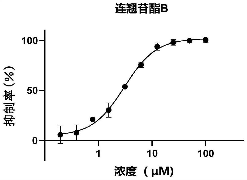 Application of phenylethanoid glycoside compound and composition thereof in preparation of medicine for preventing and treating new coronal pneumonia