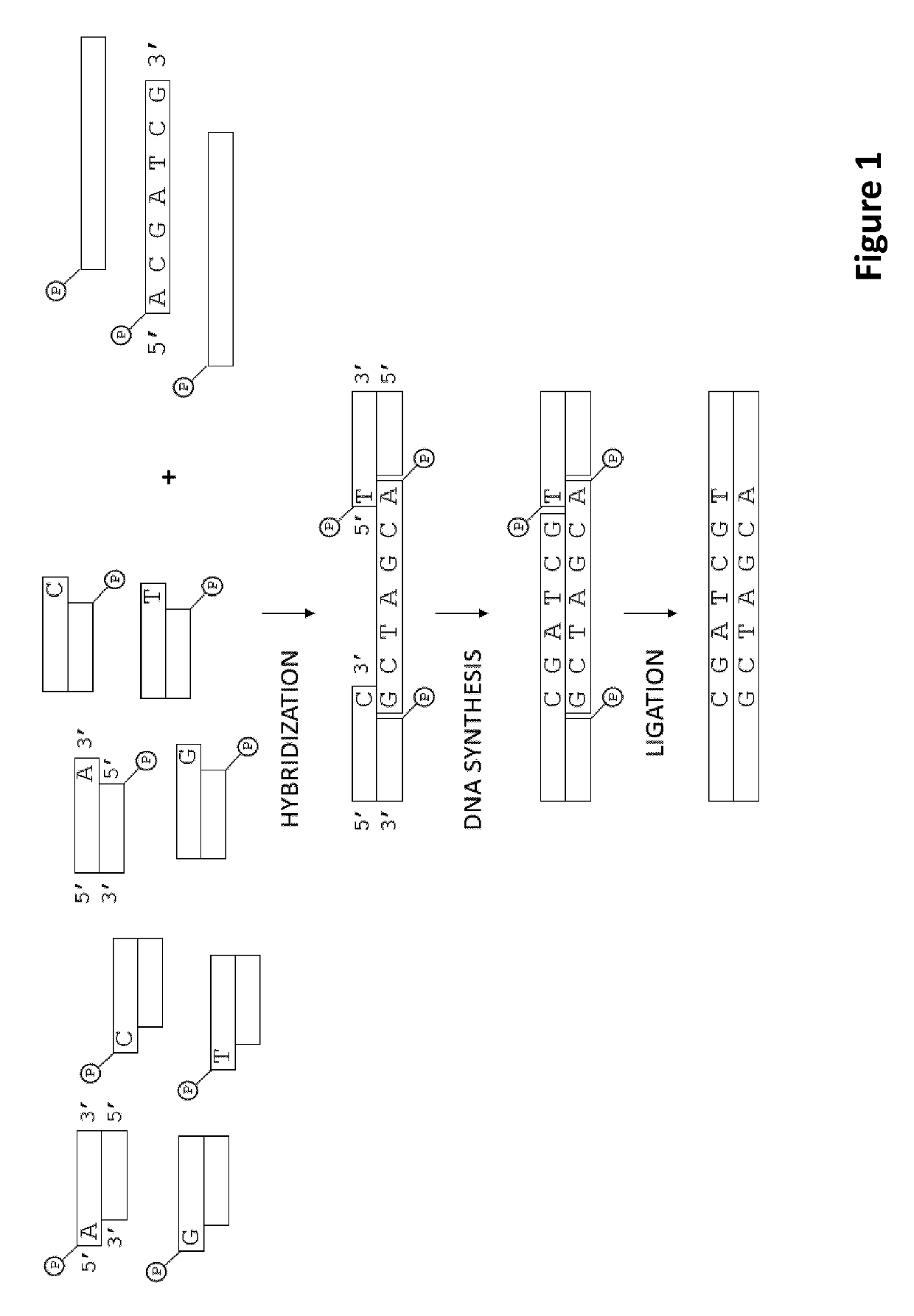 Methods for identification of samples