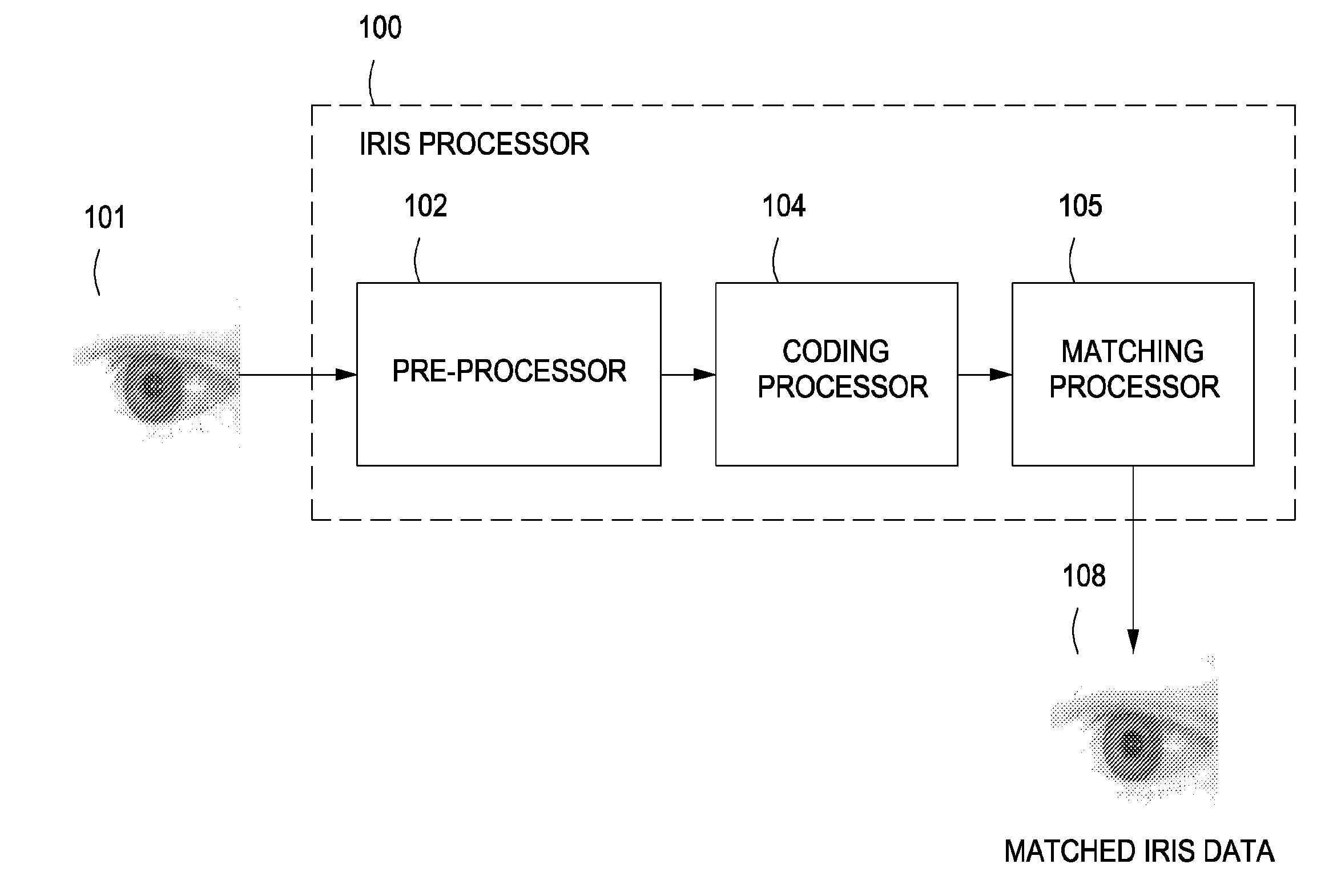 Iris biometric matching system