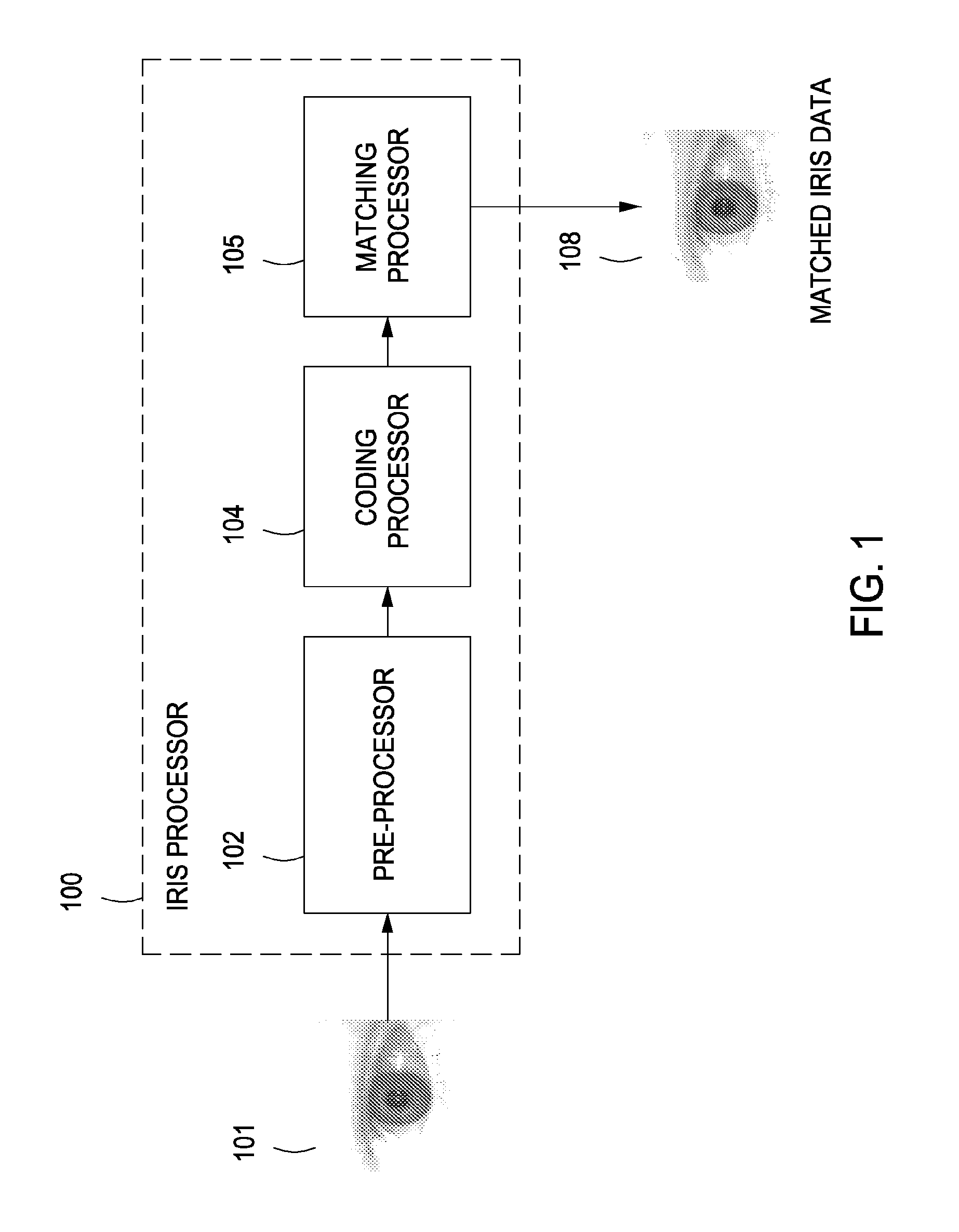 Iris biometric matching system