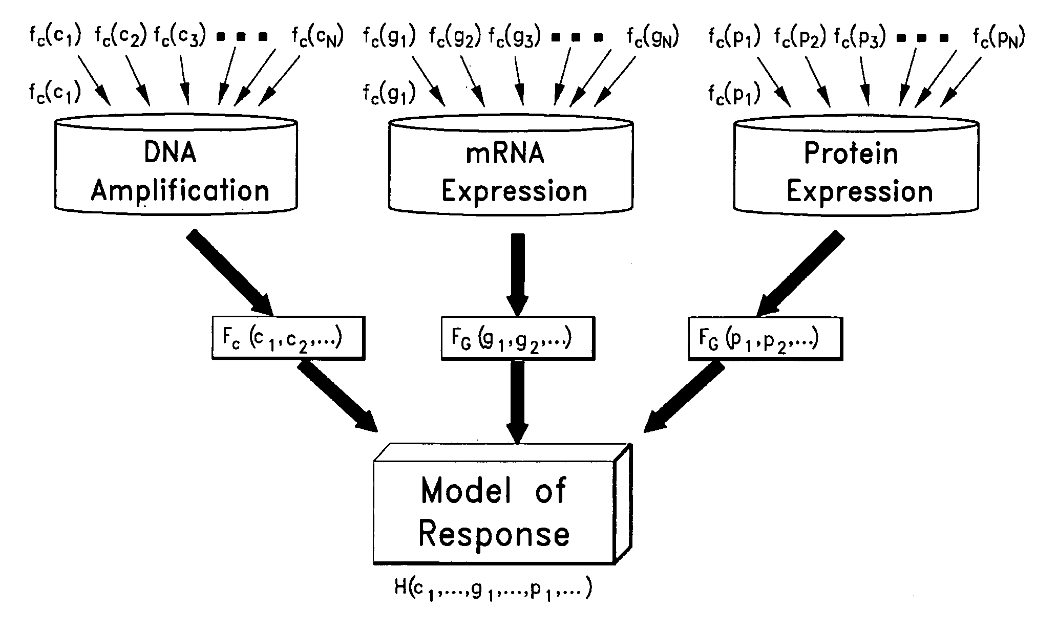 Systems and methods for predicting response of biological samples