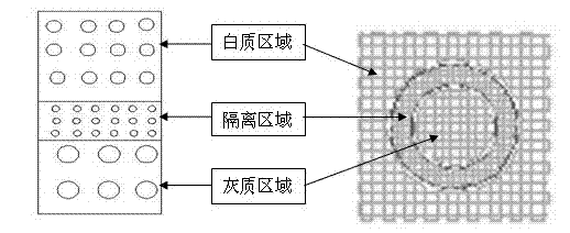 Method for preparing spinal cord injury repair tissue engineering stent