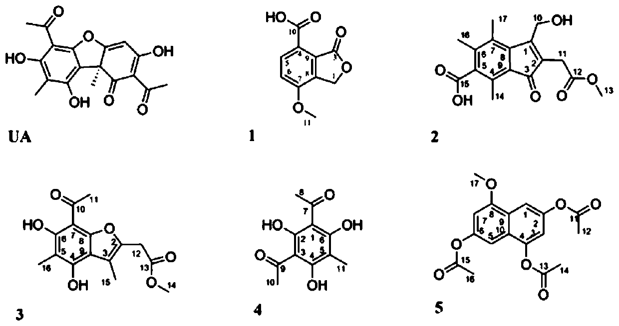 Usnic acid photodegradation product and application thereof in preparation of drugs, cosmetics or health-care products resistant to ultraviolet radiation