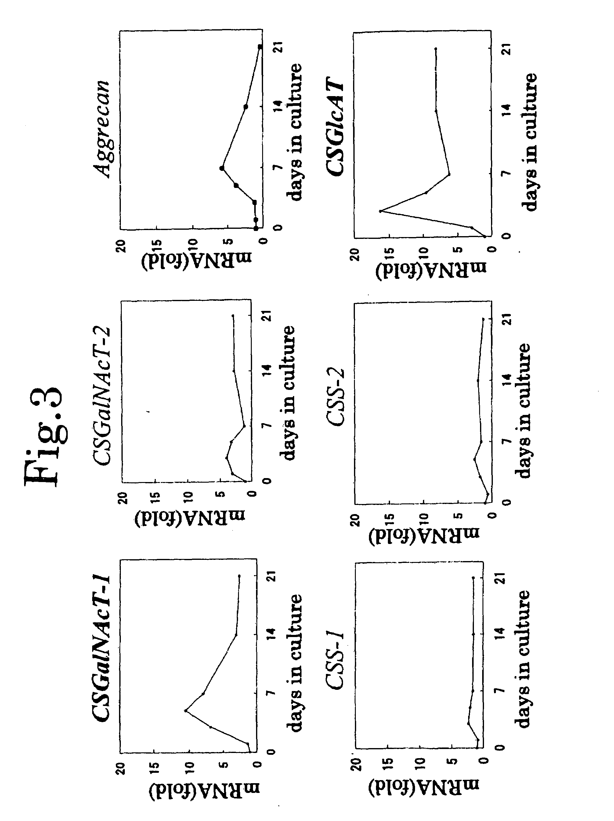 Chondroitin sulfate synthesis promoter