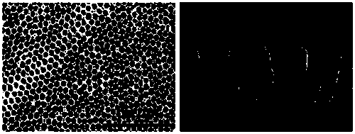 Low dielectric constant polyimide porous thin film and preparation method thereof