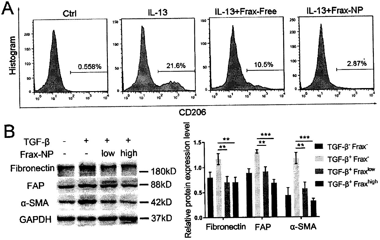 Drug delivery system with tumor microenvironment adjustment and targeting function and application thereof in pharmacy