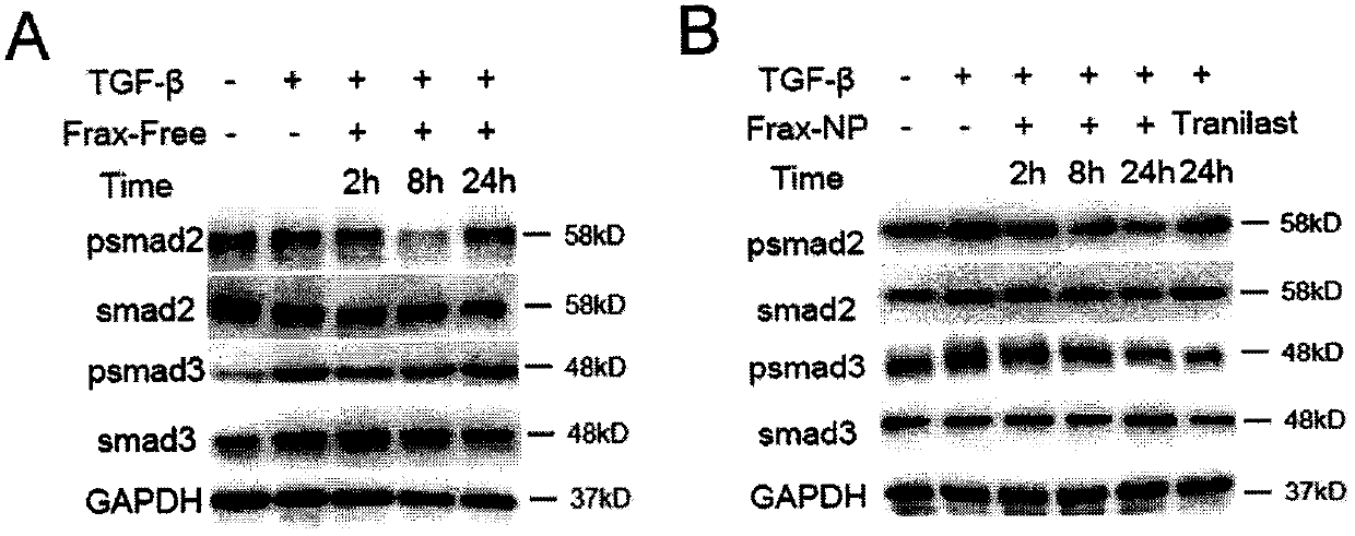 Drug delivery system with tumor microenvironment adjustment and targeting function and application thereof in pharmacy