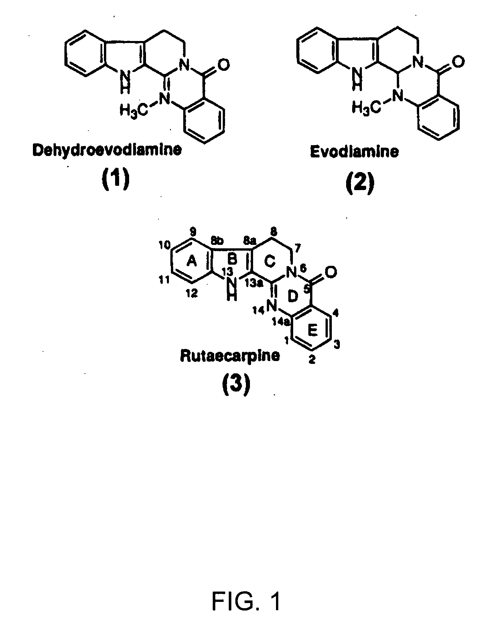 Biomimetic Of Evodia Rutaecarpa Fruit Extract For Amelioration Of Inflammation