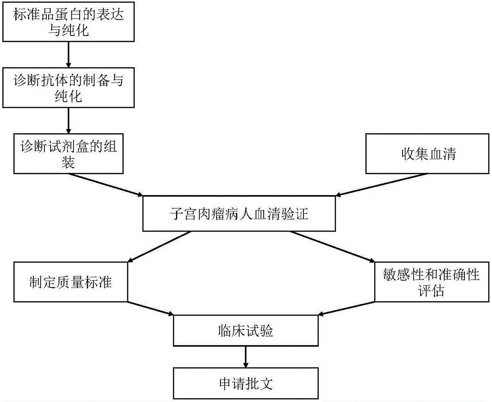 Rapid diagnostic kit for uterine sarcoma in early and middle stages and preparation method of kit