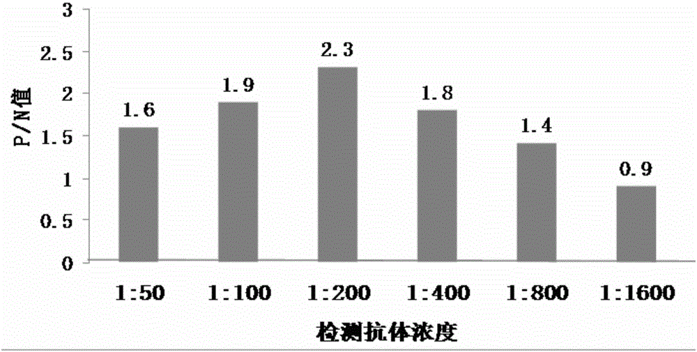 Rapid diagnostic kit for uterine sarcoma in early and middle stages and preparation method of kit