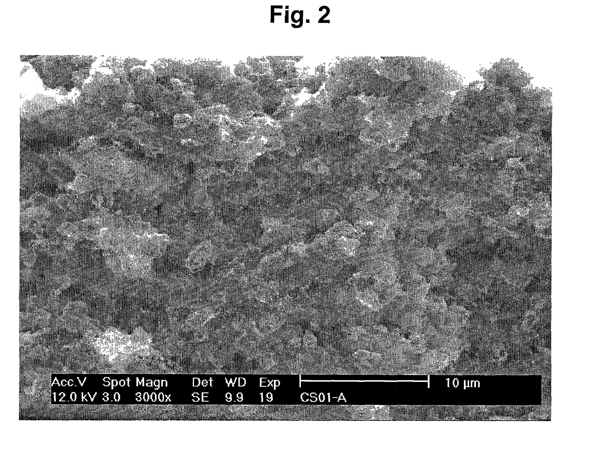 Lithium-sulfur batteries