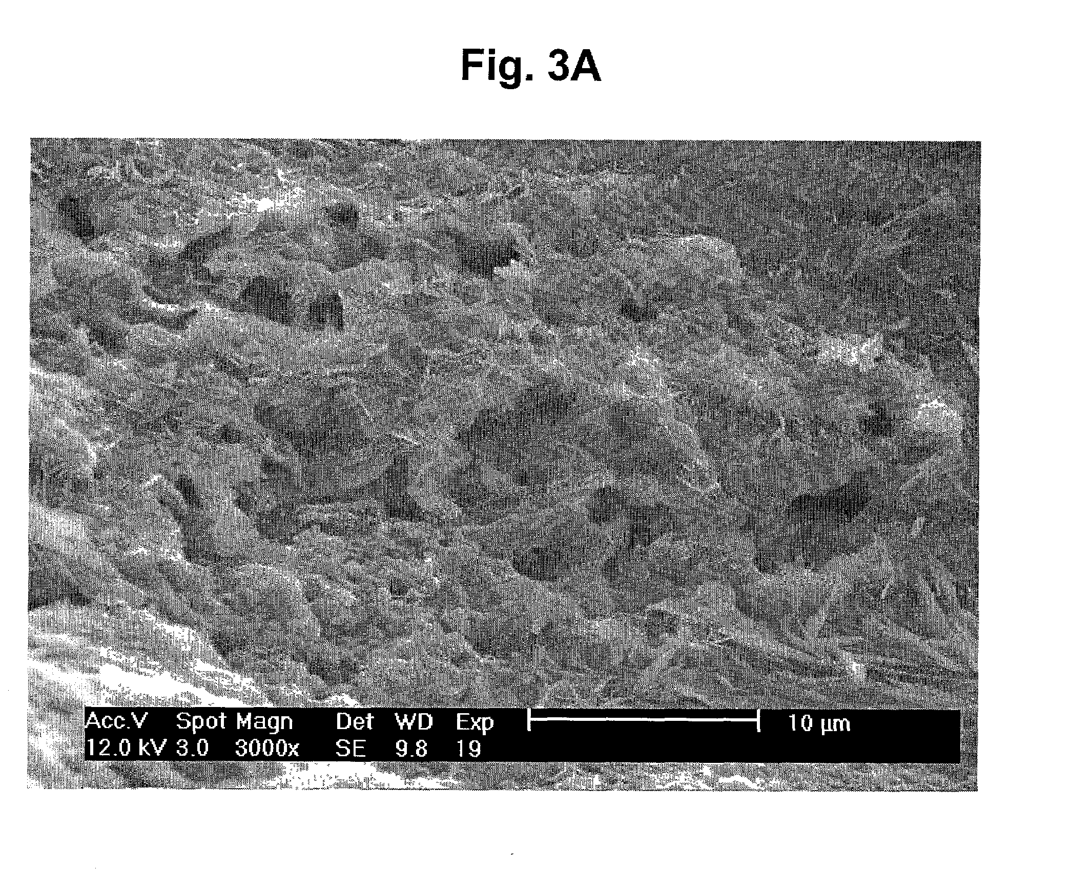 Lithium-sulfur batteries