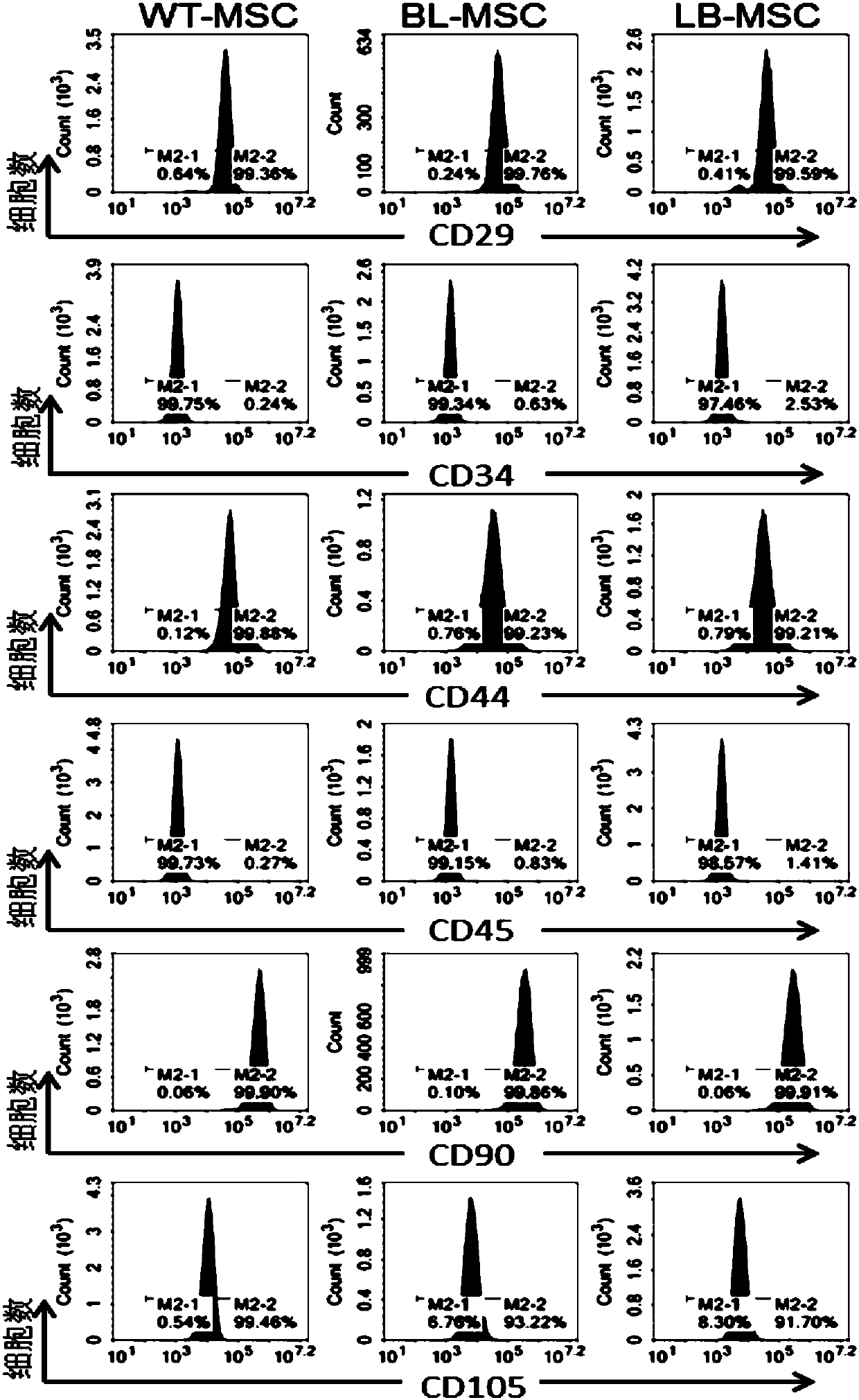 Mesenchymal stem cells with enhanced antimicrobial function as well as application of mesenchymal stem cells in sepsis