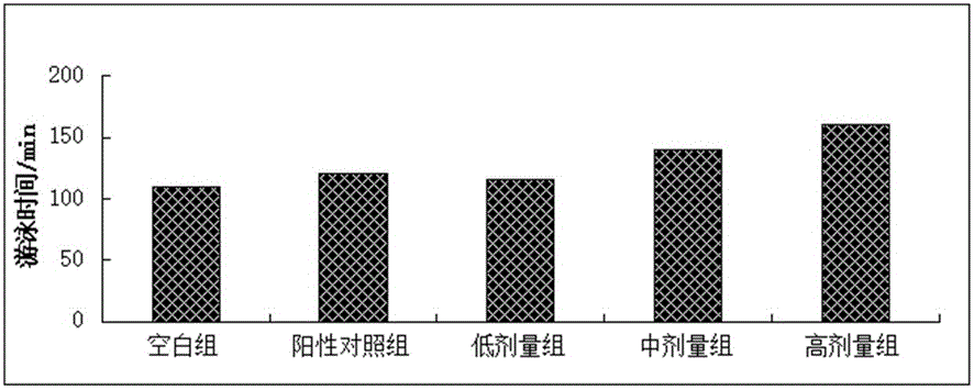 Hippocampus polypeptide with antioxidant and anti-fatigue activity and preparation technology thereof