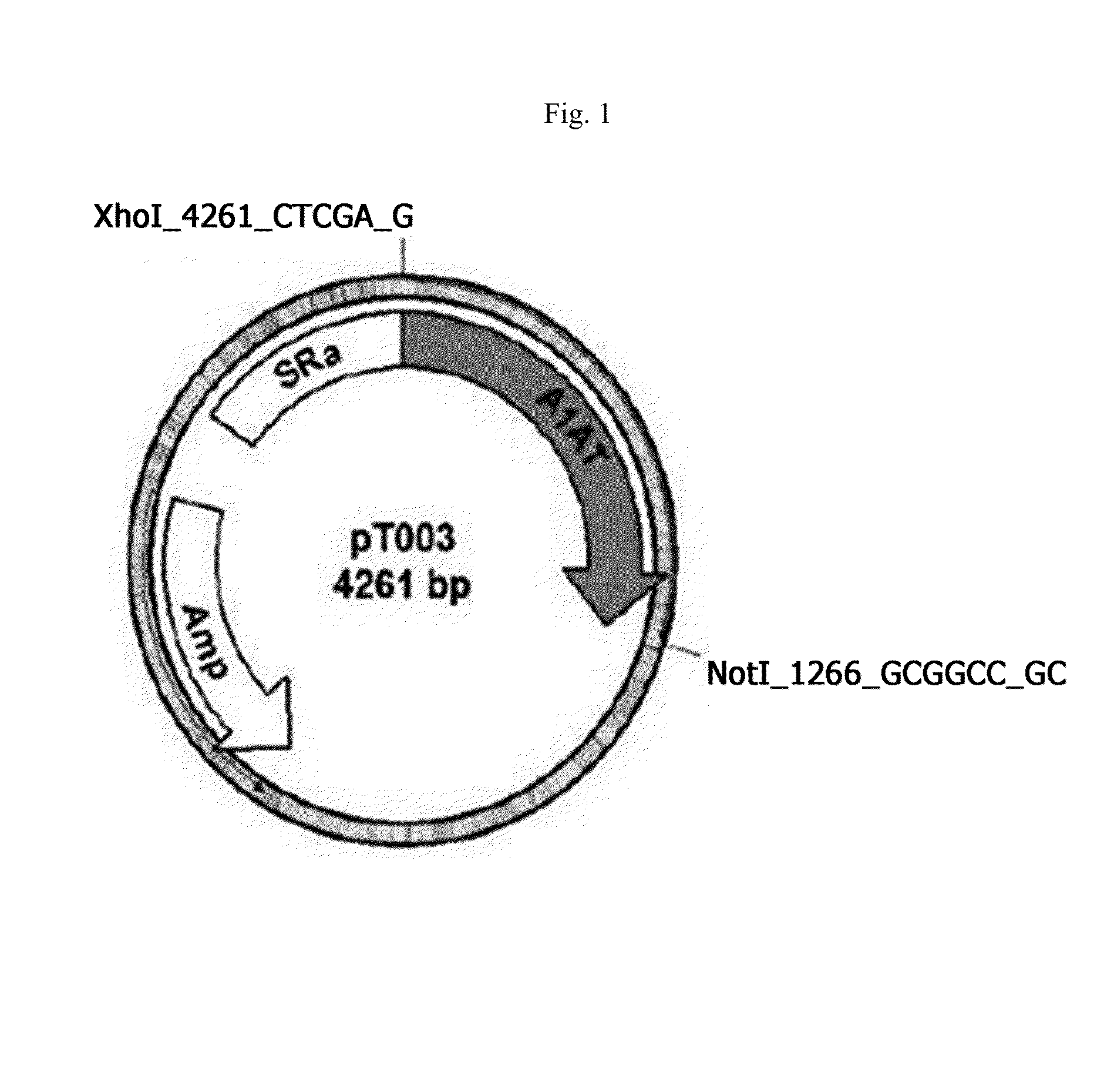 Alpha-1 antitrypsin variant, preparation method thereof and use thereof