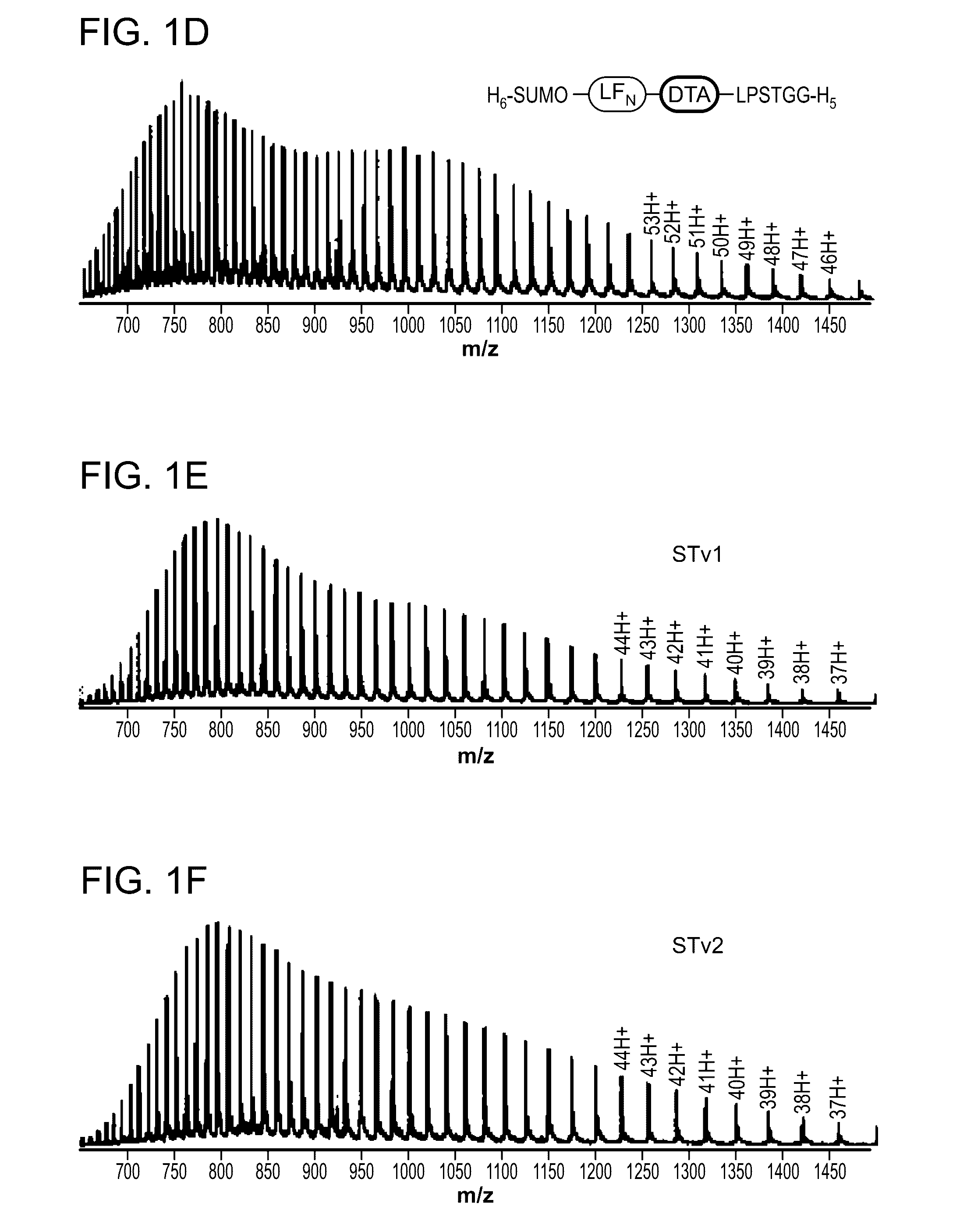 Translocation of non-natural chemical entities through anthrax protective antigen pore