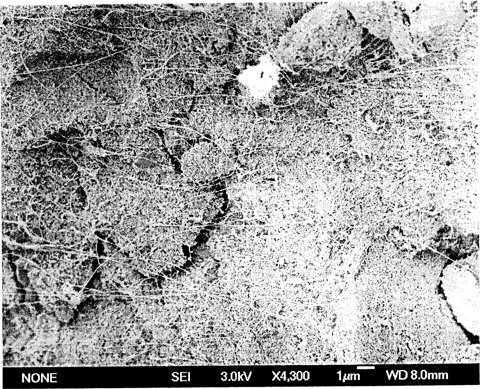 Process for preparing tree-shaped carbon nano tube