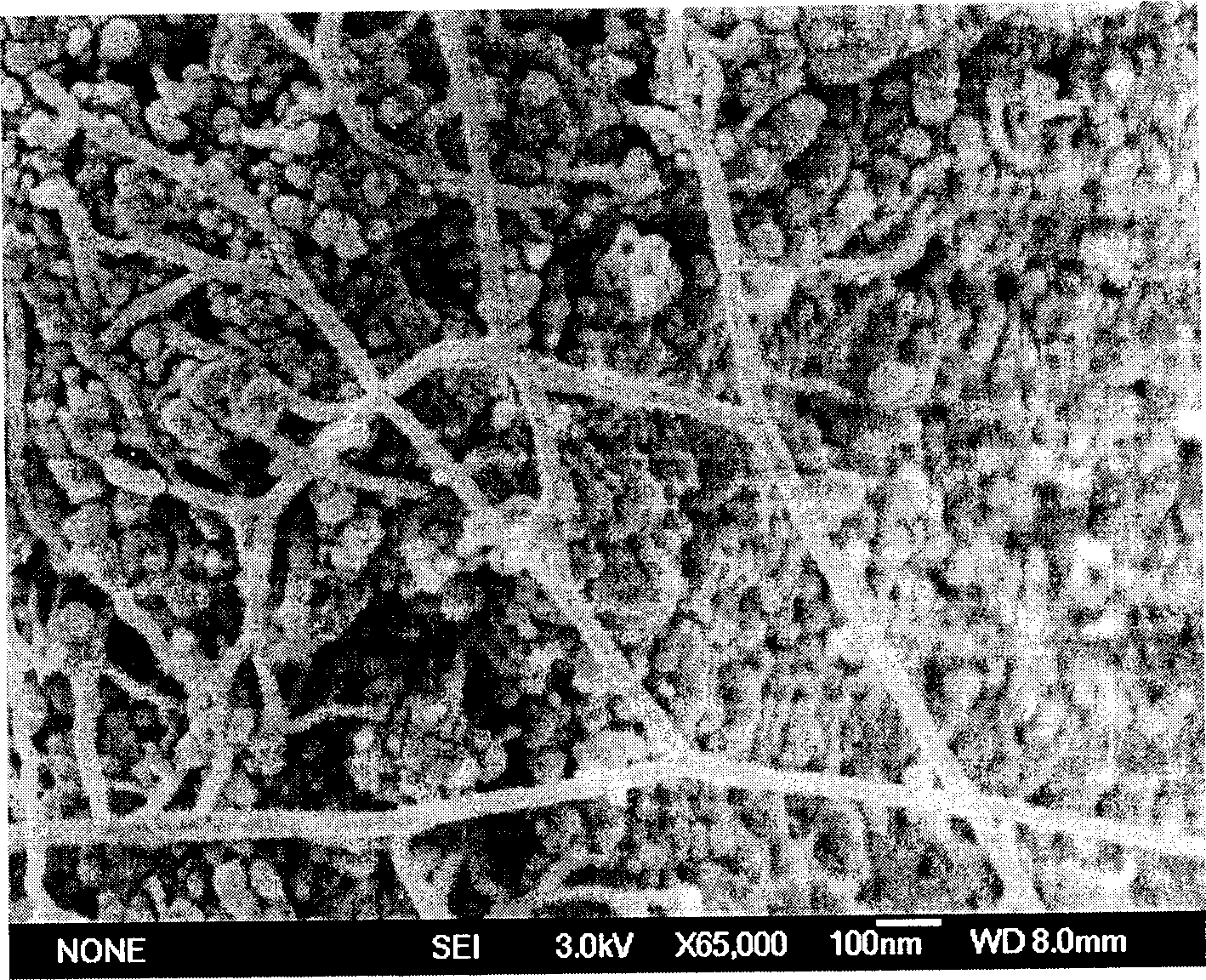 Process for preparing tree-shaped carbon nano tube